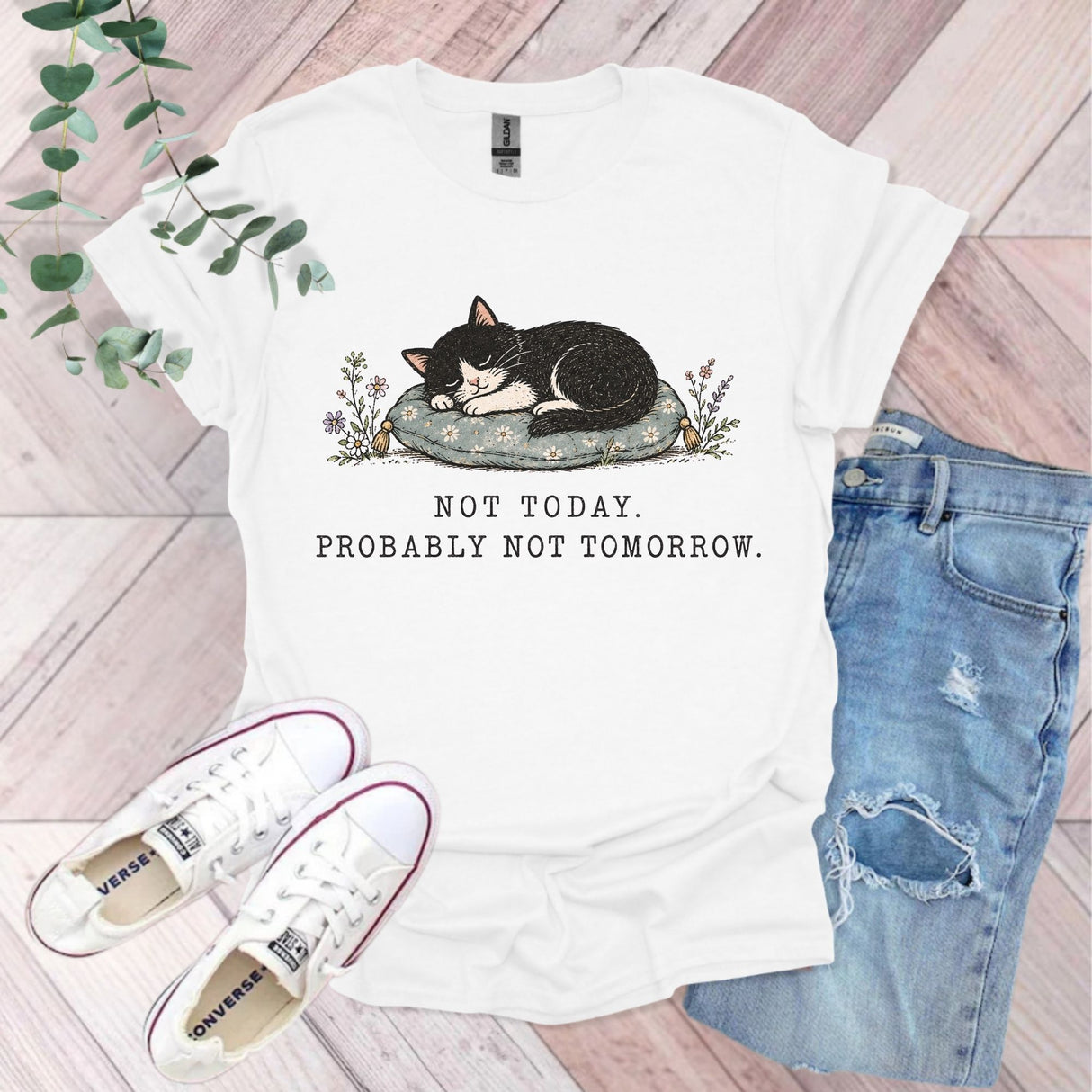 Not Today Probably Not Tomorrow Cat T-Shirt