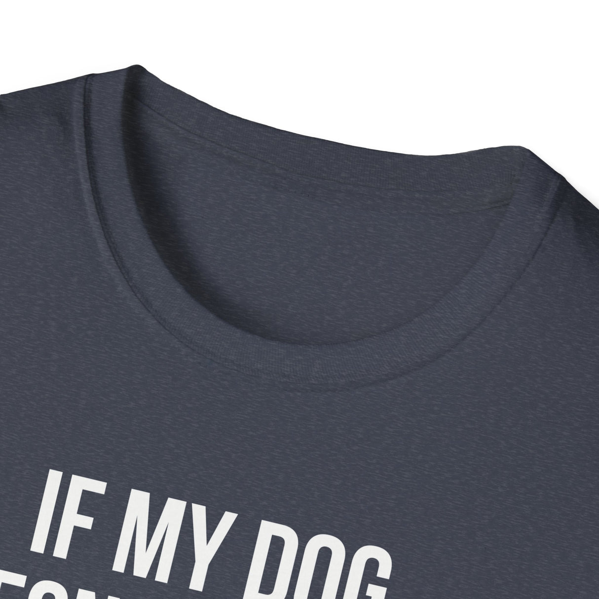 If My Dog Doesn't Like You I Probably Won't Either T-Shirt