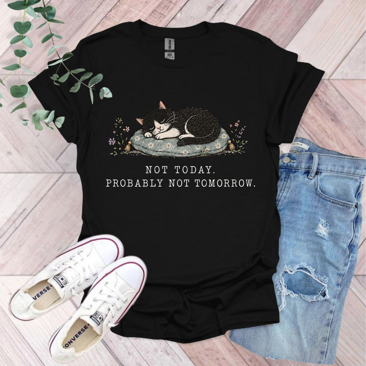 Not Today Probably Not Tomorrow Cat T-Shirt