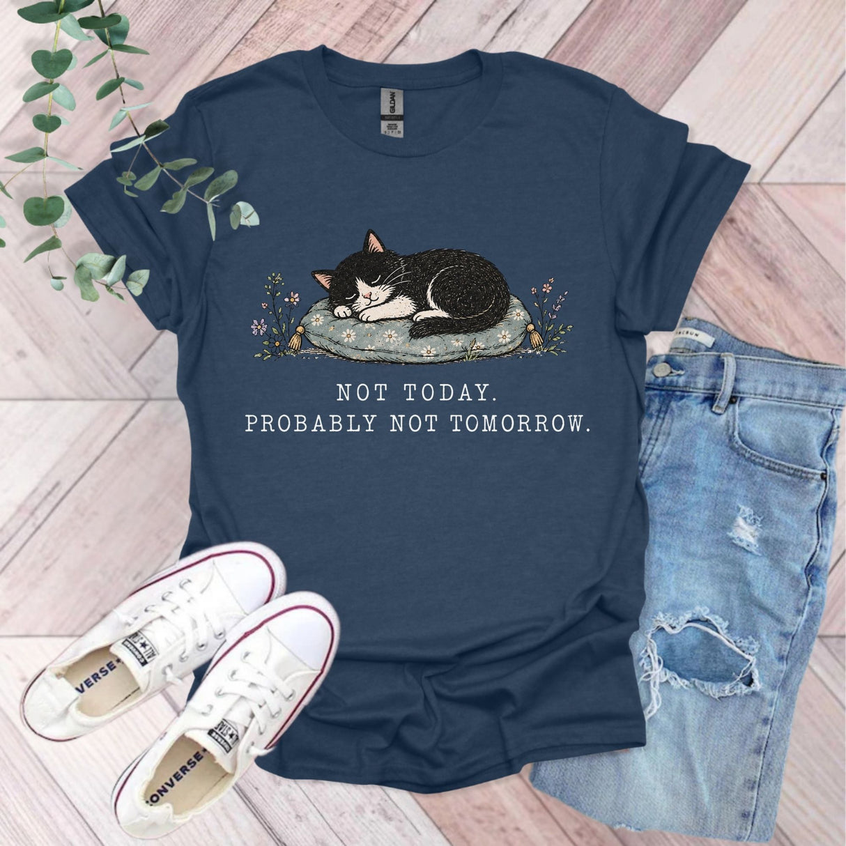 Not Today Probably Not Tomorrow Cat T-Shirt