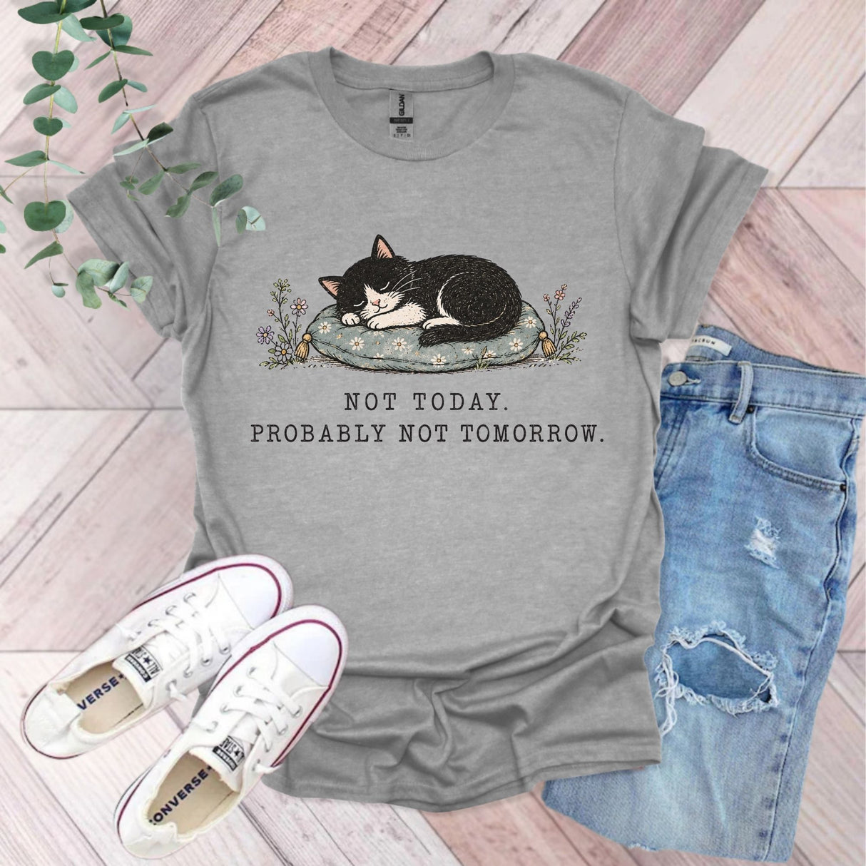 Not Today Probably Not Tomorrow Cat T-Shirt