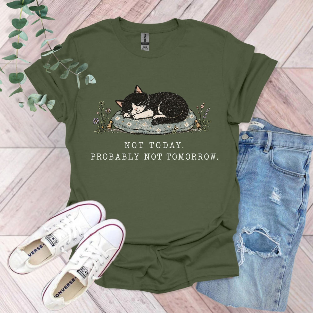 Not Today Probably Not Tomorrow Cat T-Shirt