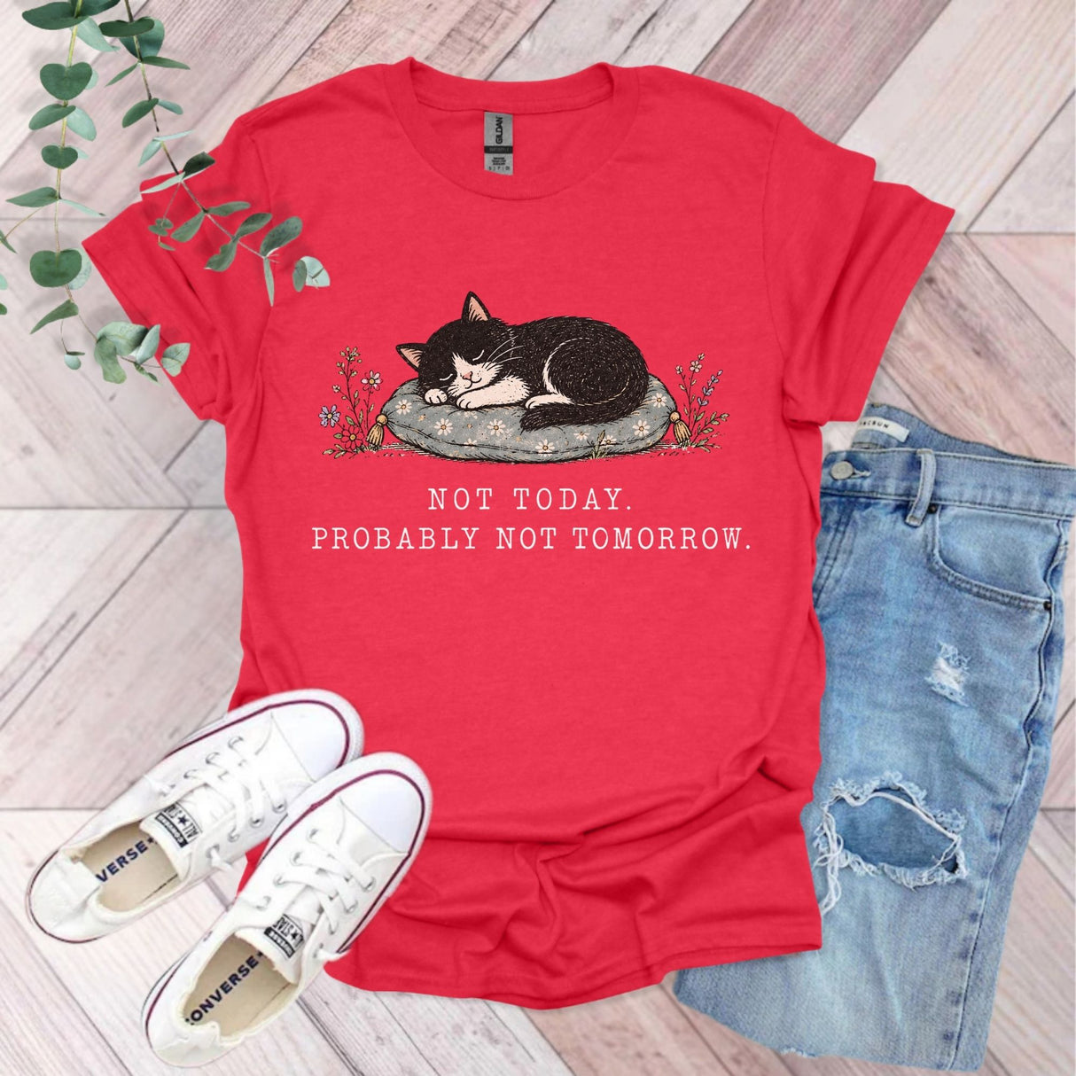 Not Today Probably Not Tomorrow Cat T-Shirt