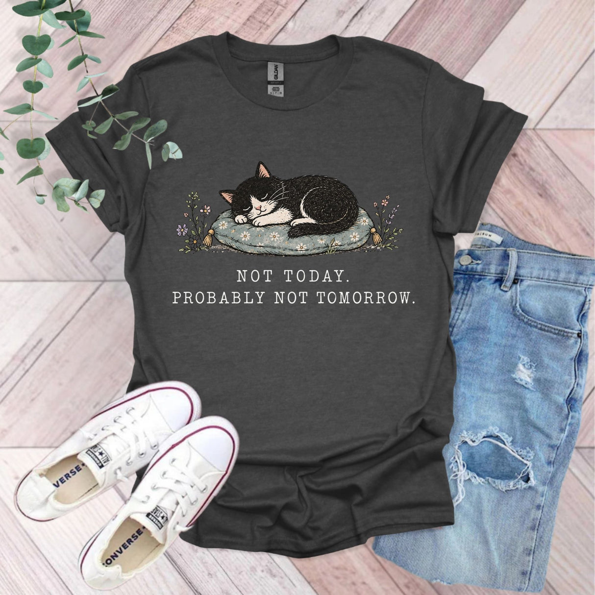 Not Today Probably Not Tomorrow Cat T-Shirt