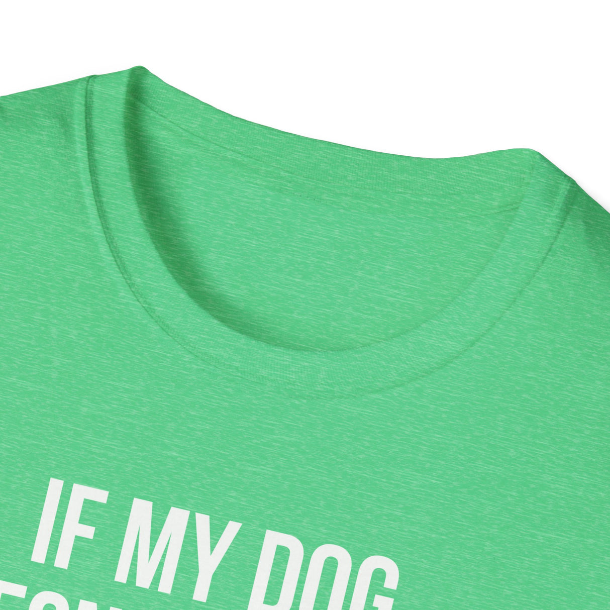 If My Dog Doesn't Like You I Probably Won't Either T-Shirt