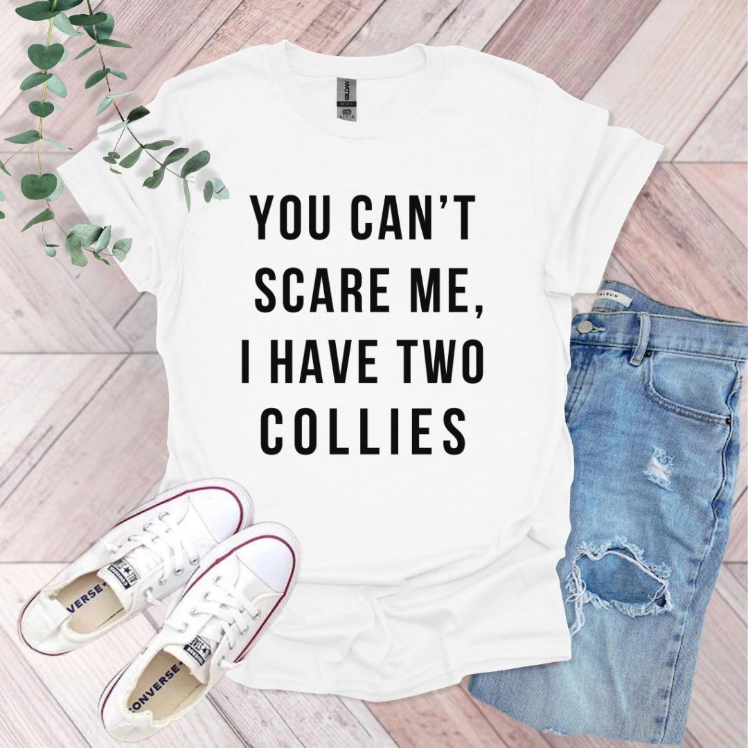 a t - shirt that says you can't scare me, i have two